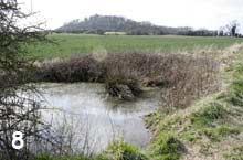 pond